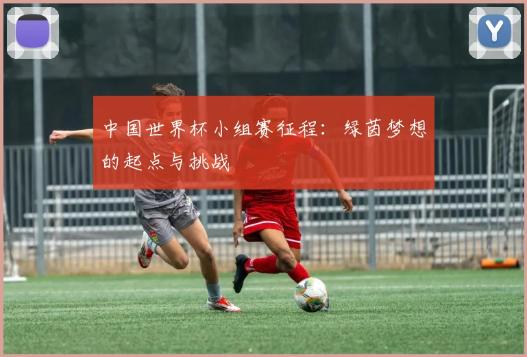 中国世界杯小组赛征程：绿茵梦想的起点与挑战