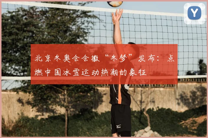 北京冬奥会会徽“冬梦”发布：点燃中国冰雪运动热潮的象征