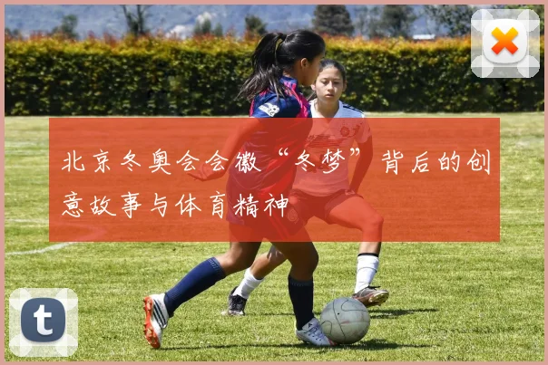 北京冬奥会会徽“冬梦”背后的创意故事与体育精神