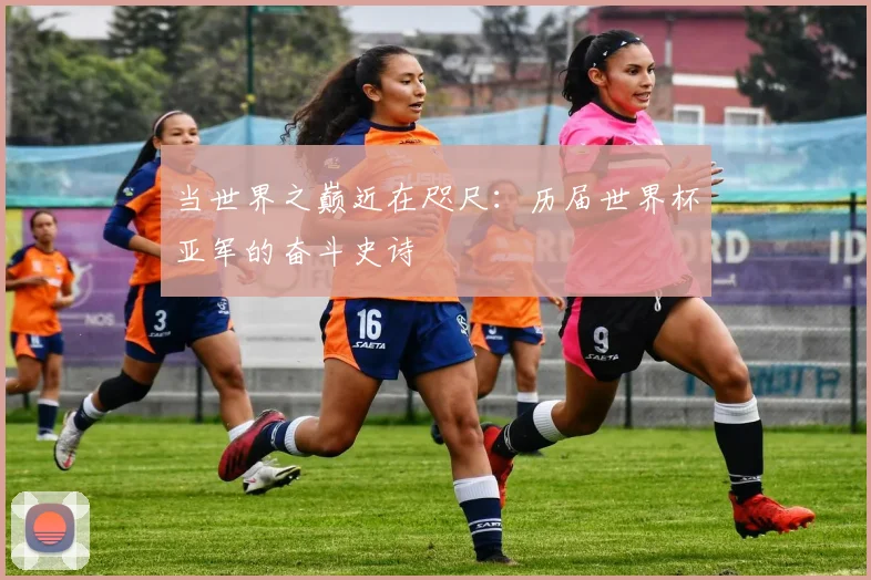 当世界之巅近在咫尺：历届世界杯亚军的奋斗史诗