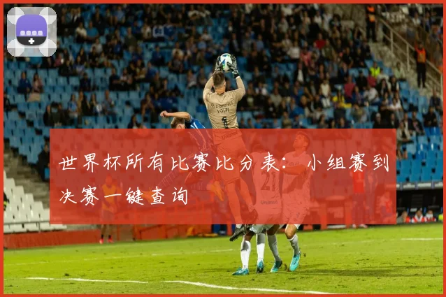 世界杯所有比赛比分表：小组赛到决赛一键查询