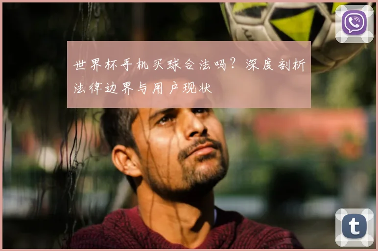 世界杯手机买球合法吗？深度剖析法律边界与用户现状