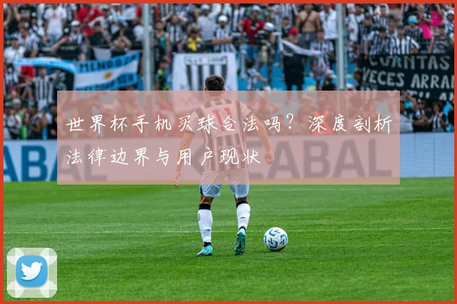 世界杯手机买球合法吗？深度剖析法律边界与用户现状